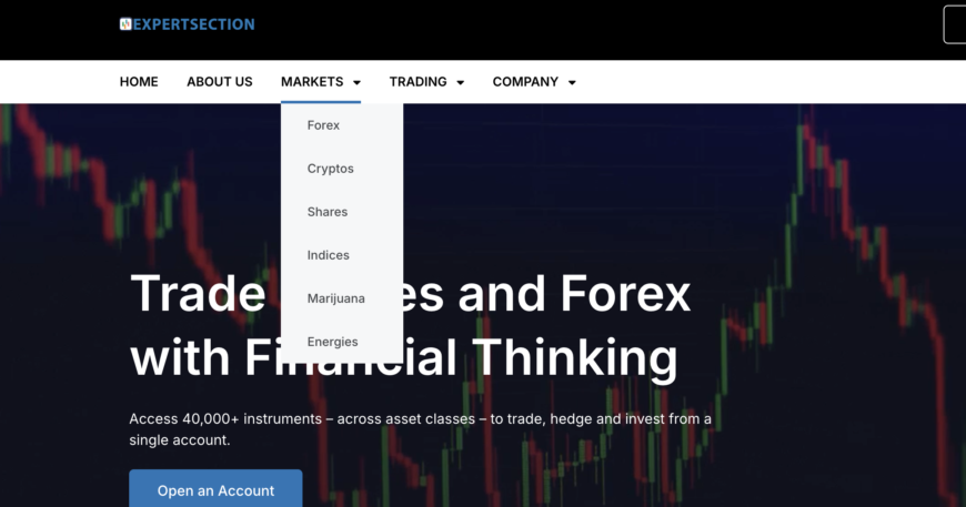 The Allure and Trap of Expertsection.live