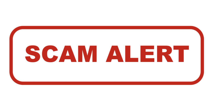 Norellbitcore Review: A Classic Rug Pull Scam