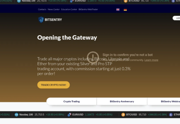 BitSentry.net Detailed Scam Analysis